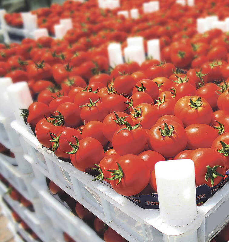 Alimentos y bebidas